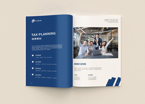 专业财务公司画册与代理做账宣传册设计 视觉沟通的艺术
